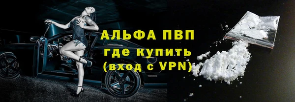 прущие грибы Инта