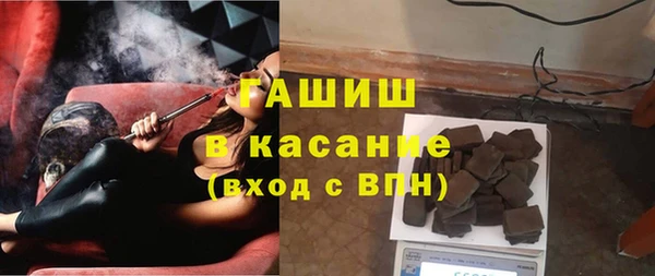 прущие грибы Инта