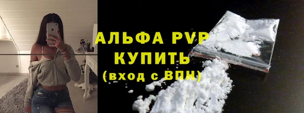 прущие грибы Инта