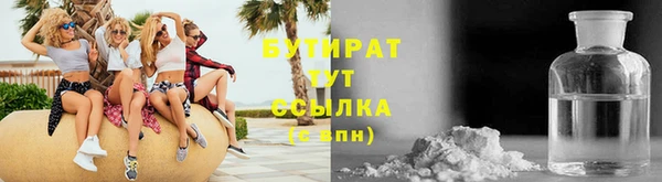 прущие грибы Инта