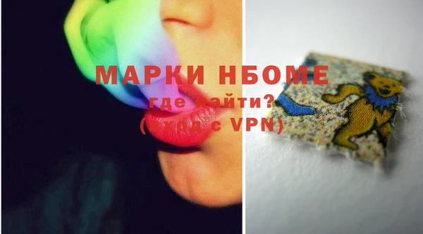 прущие грибы Инта