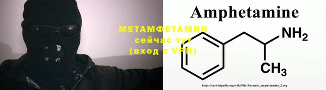 прущие грибы Инта