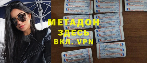 прущие грибы Инта