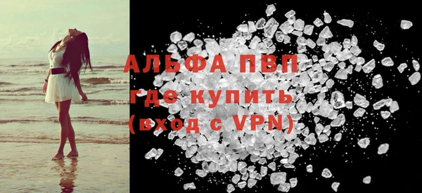 прущие грибы Инта