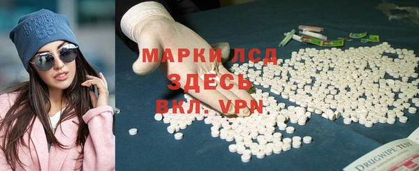 прущие грибы Инта