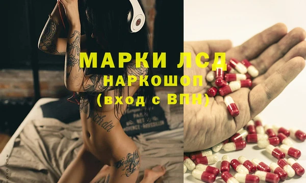 прущие грибы Инта