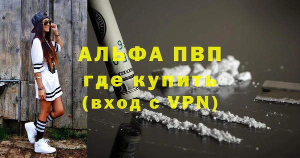 прущие грибы Инта